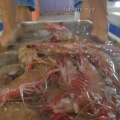 国足出征印尼25人大名单深度分析